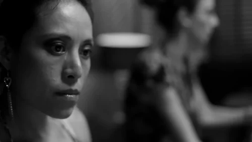 OncidiumBifoliumCast0-12-37-17